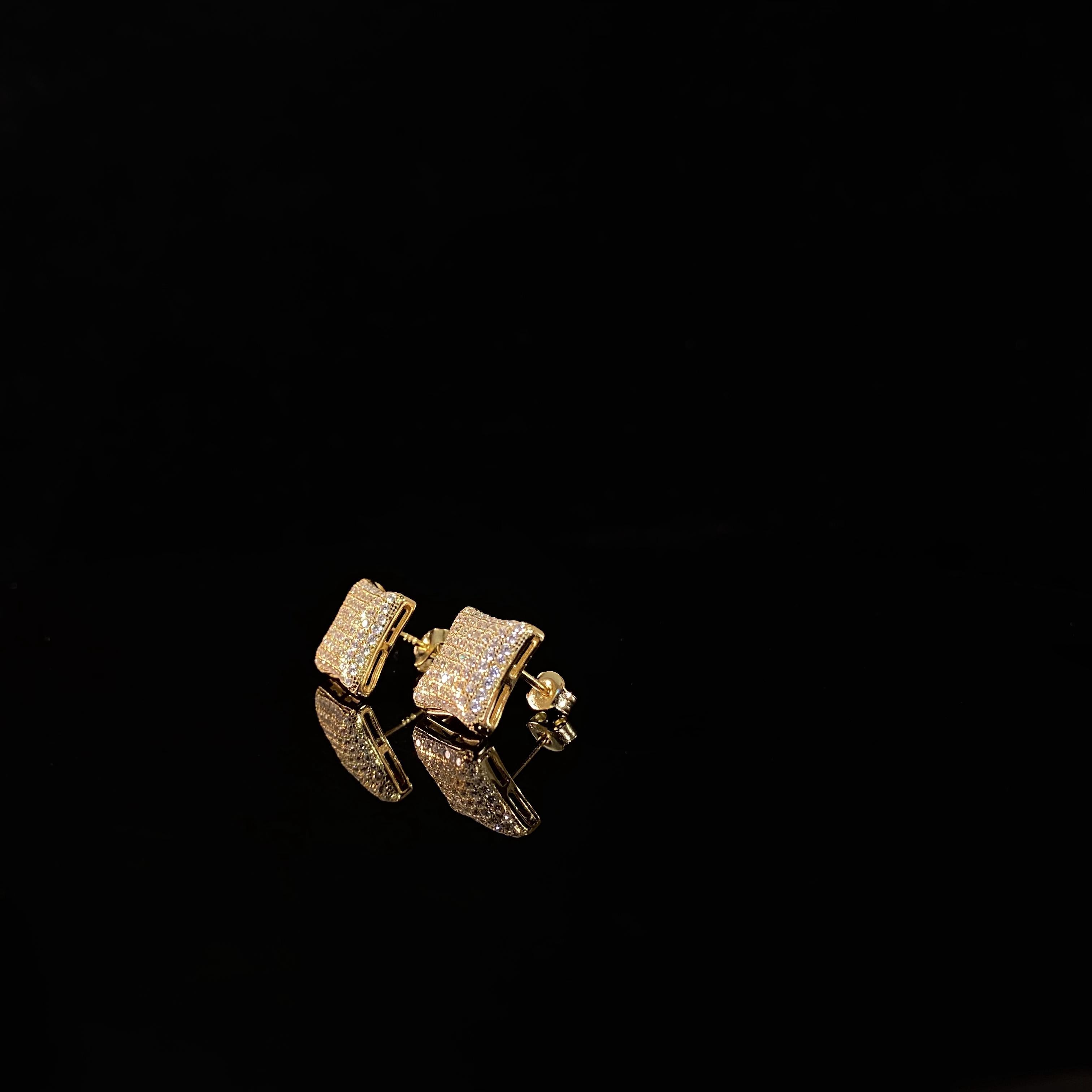 Women's Earrings Jewelry 925 Silver Earrings