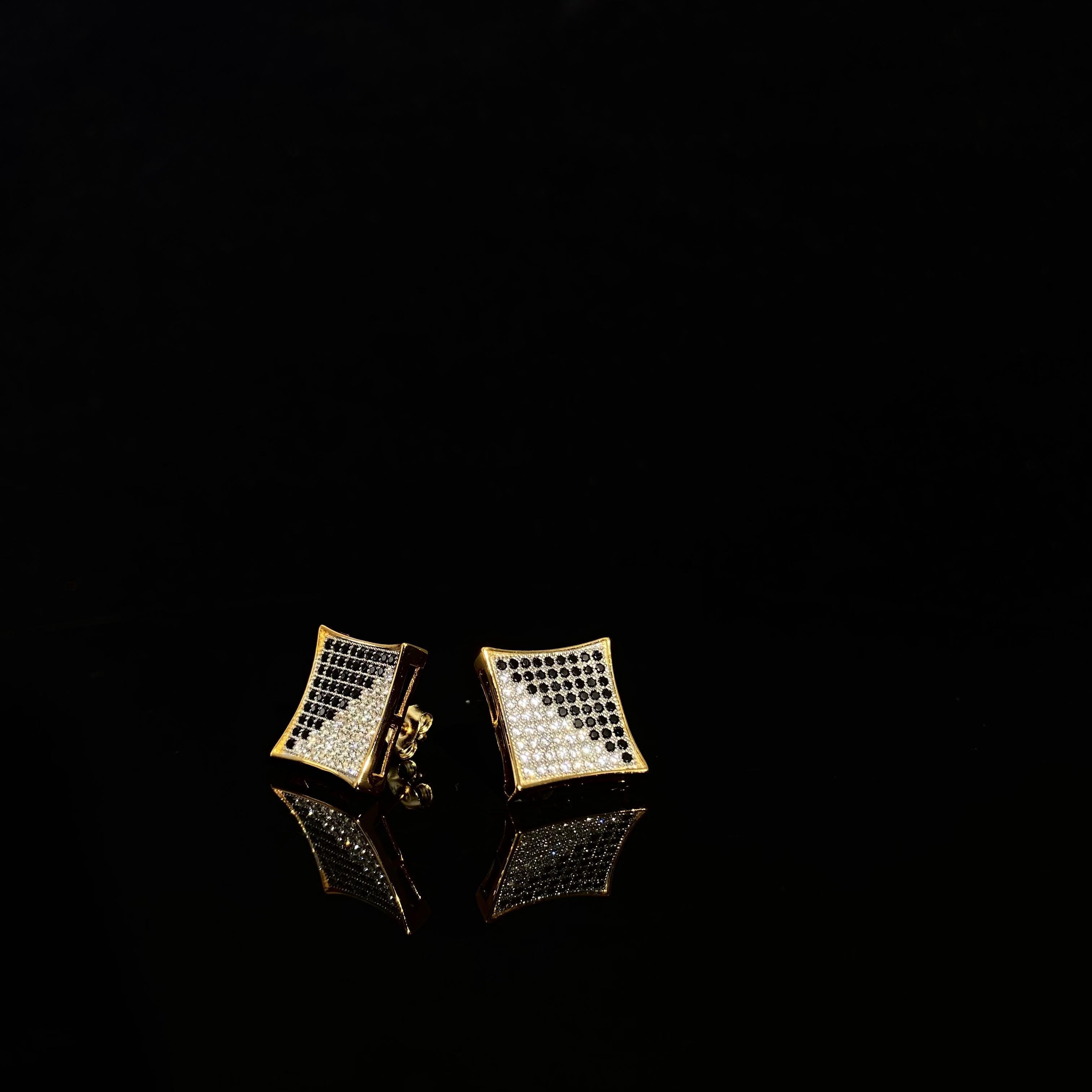 925 silver bicolor Cubic Zircon female Earrings - a pair