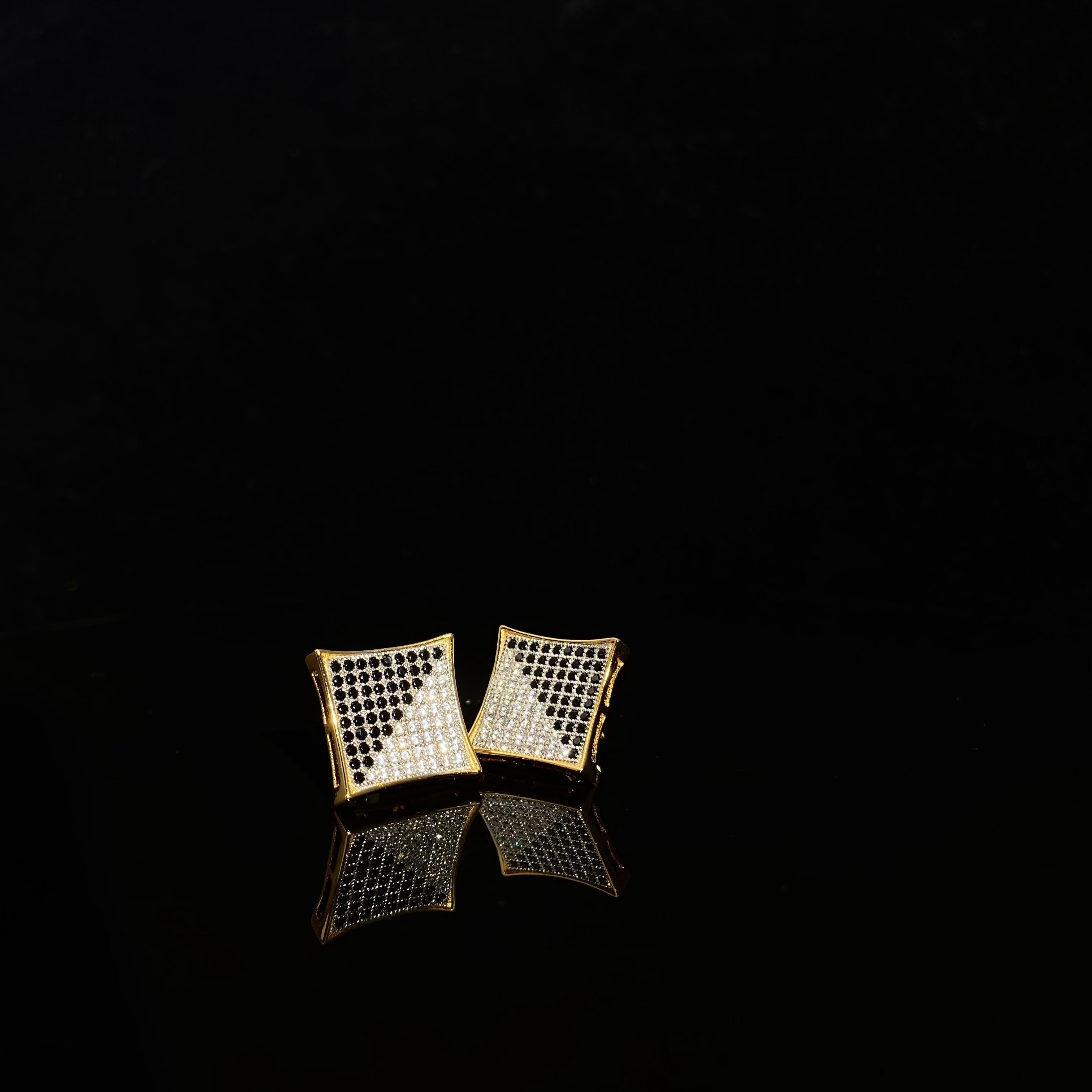 925 silver bicolor Cubic Zircon female Earrings - a pair