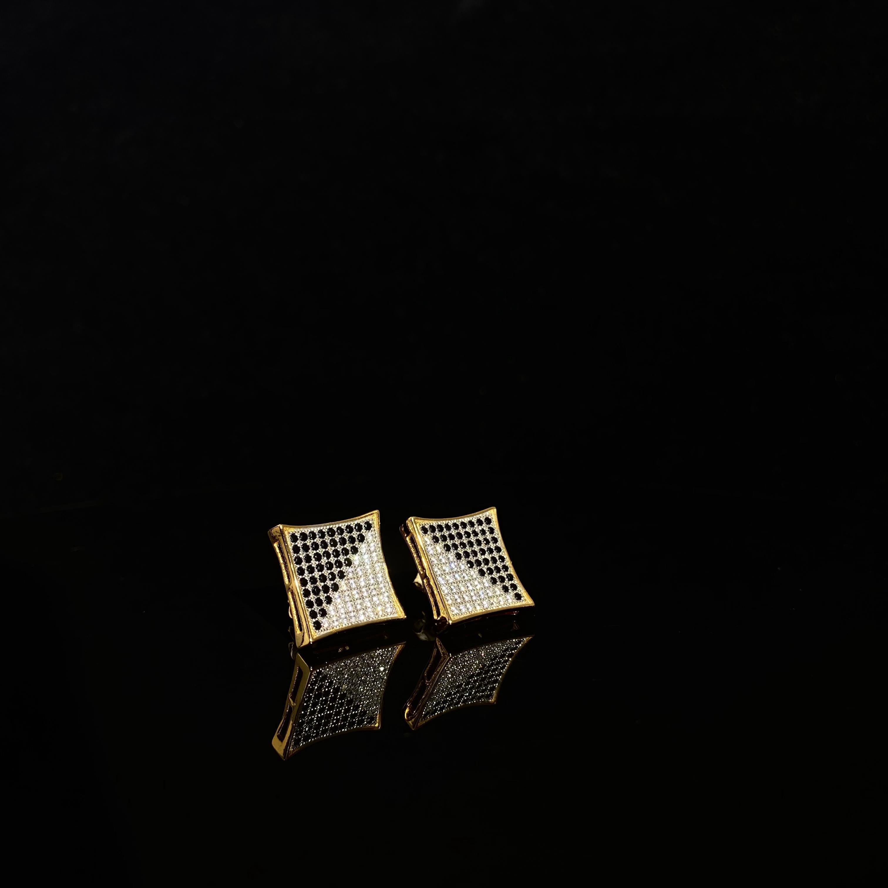 925 silver bicolor Cubic Zircon female Earrings - a pair